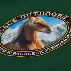 Fashion PALACE OUTDOORS CREW RACEY GREEN Sweatshirts